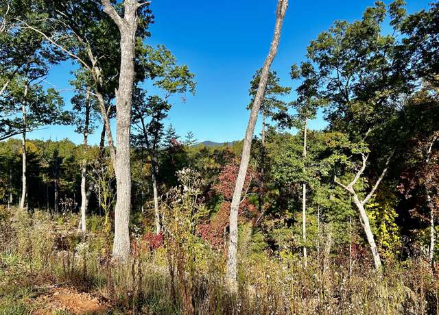 Property at Lot 305 Greenwood Ct, Ellijay, GA 30540