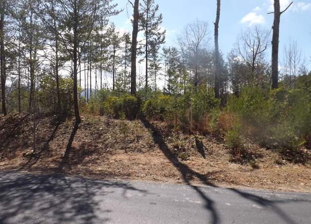 Property at LOT 51 Ray Drive Dblsprings, Young Harris, GA 30582