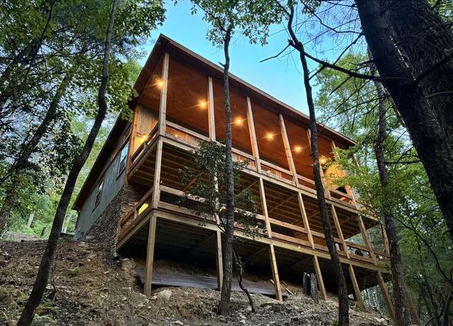 Property at 55 Skyline Dr, Cherry Log, GA 30513, 2 beds, 2 baths