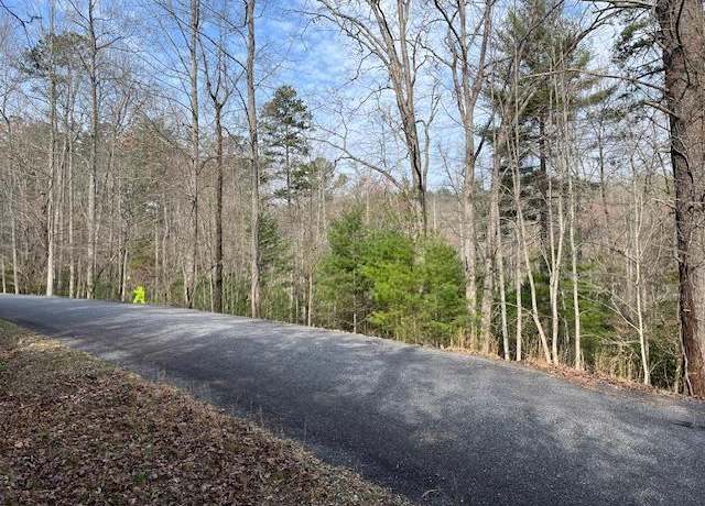 Property at Lot 10 Lower Fox Trail Rd, Blairsville, GA 30512