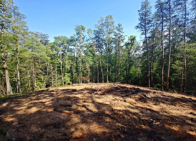 Property at Lot 5 Megan Trace Dr, Turtletown, TN 37391