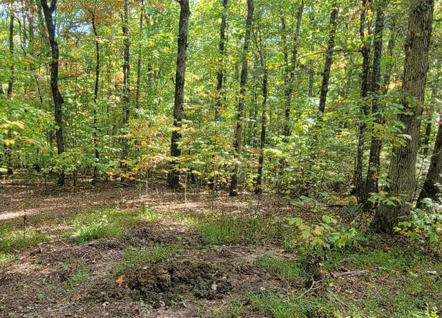Property at 31-B Mountain View Ln, Hayesville, NC 28904