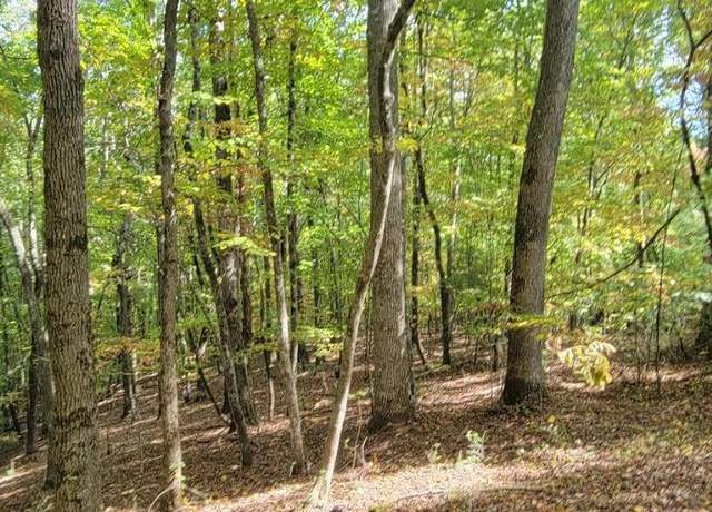 Property at 31-A&B Mountain View Ln, Hayesville, NC 28904
