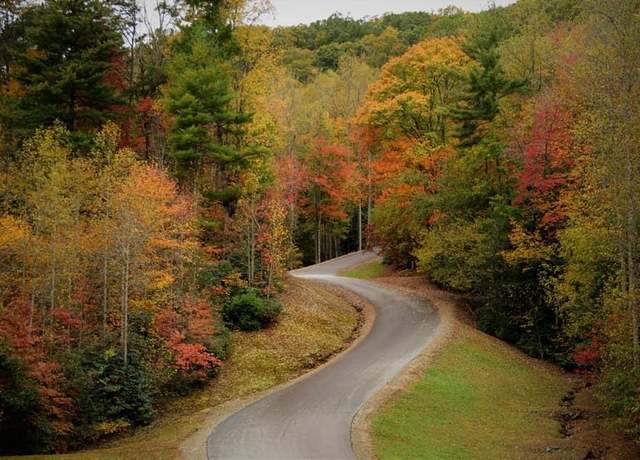 Property at Lot 3 Wild Laurel, Brasstown, NC 28902