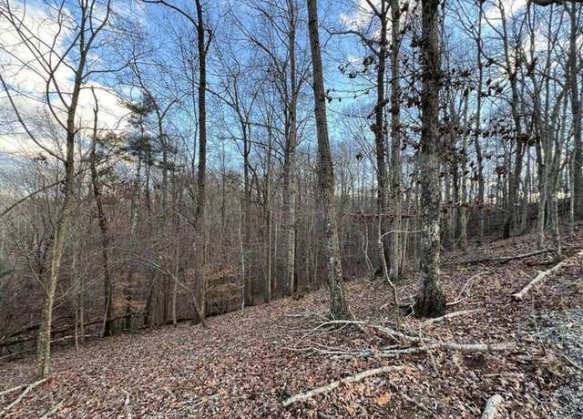 Property at 0 Crown Ct, Ellijay, GA 30540