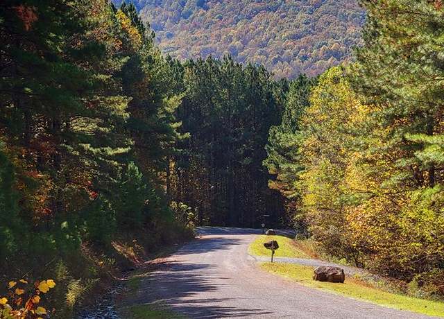 Property at LOT 6 Black Bear Ridge Rd, Ellijay, GA 30536