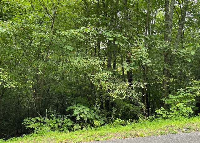 Property at LT 7 Bear Trl, Hiawassee, GA 30546