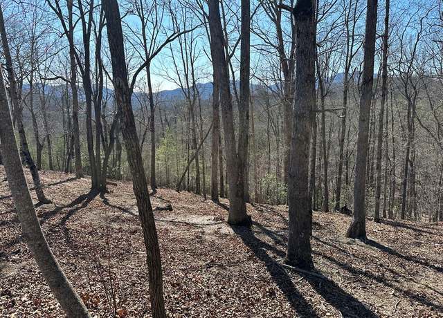 Property at Lot 55 Asheland Cv, Young Harris, GA 30582