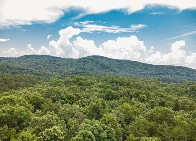 Property at 56.6 Ac Cutcane Rd, Mineral Bluff, GA 30559