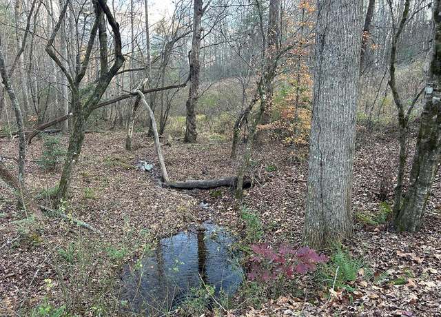 Property at Lot 12 Tombstone Dr, Blairsville, GA 30512