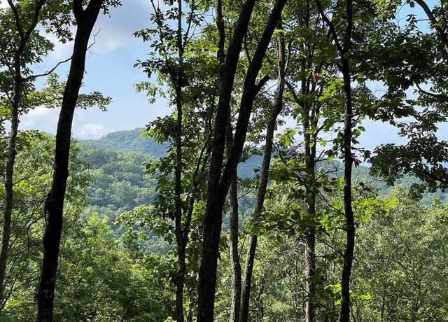 Property at 49.8 Stamey Cove Rd, Hayesville, NC 28904