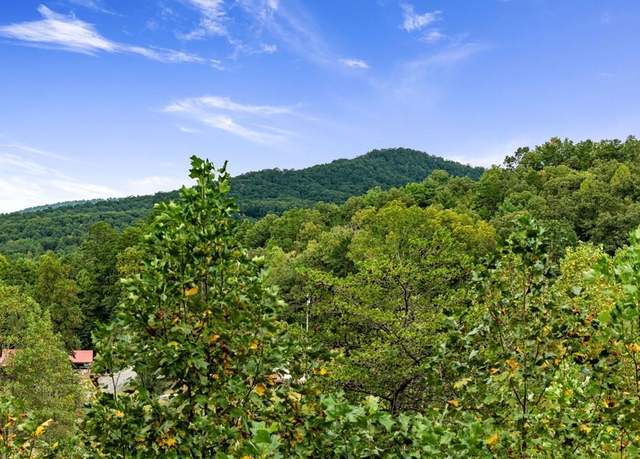 Property at 6 Gilliam Rd, Mineral Bluff, GA 30559, 4 beds, 3 baths
