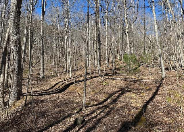 Property at LT 95/97 Asheland Cv, Young Harris, GA 30582