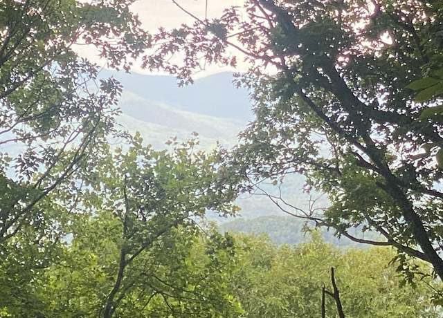 Property at Lt M176 Walnut Rdg, Ellijay, GA 30536