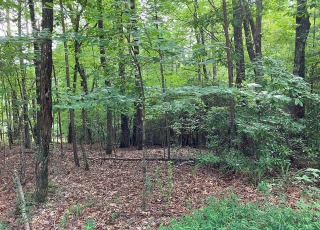 Property at Lot 41 Floris Mountain Rd, Murphy, NC 28906