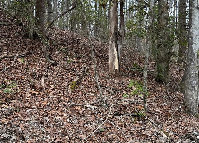 Property at 0 Old Rocky Branch Rd, Topton, NC 28781
