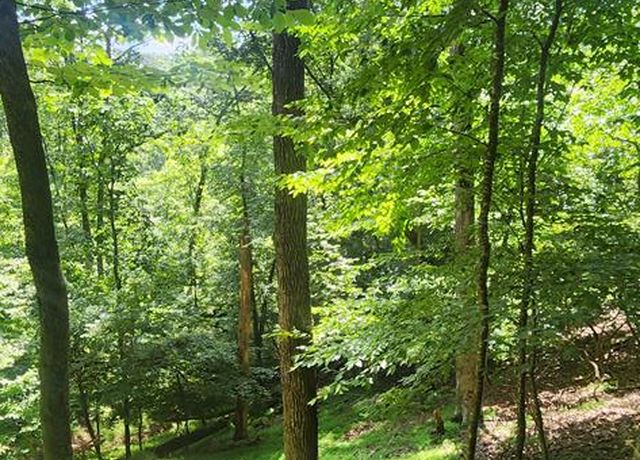 Property at 0 Mohawk Trl, Ellijay, GA 30540