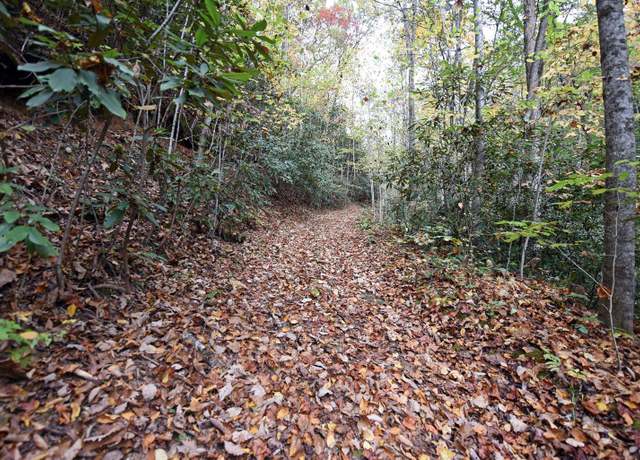 Property at TBD Mclean Rd, Andrews, NC 28901