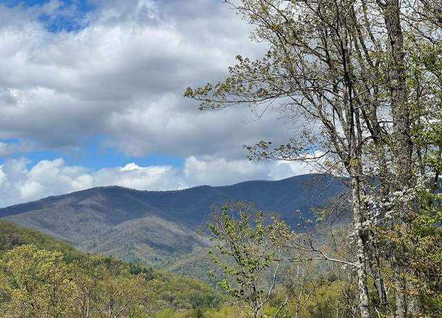 Property at 33 35 36 Ash Br, Hayesville, NC 28904