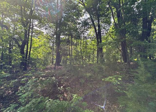 Property at 31 Peak Trl, Murphy 26906