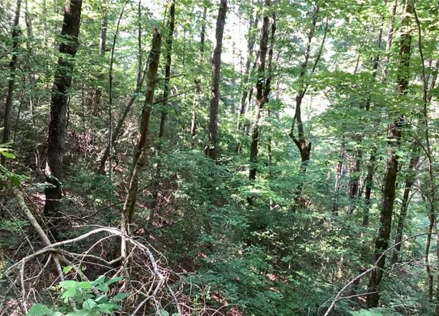 Property at Lot 197 Dowel Cir, Ellijay, GA 30540