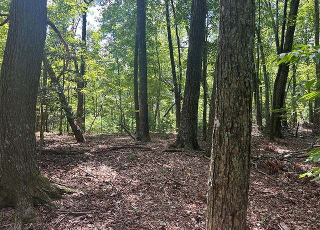 Property at 22.5 ac Hwy 2, Blue Ridge, GA 30513