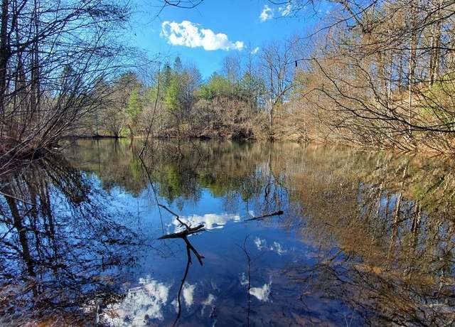 Property at 51+ acre Mountain Cove Way, Cherry Log, GA 30522