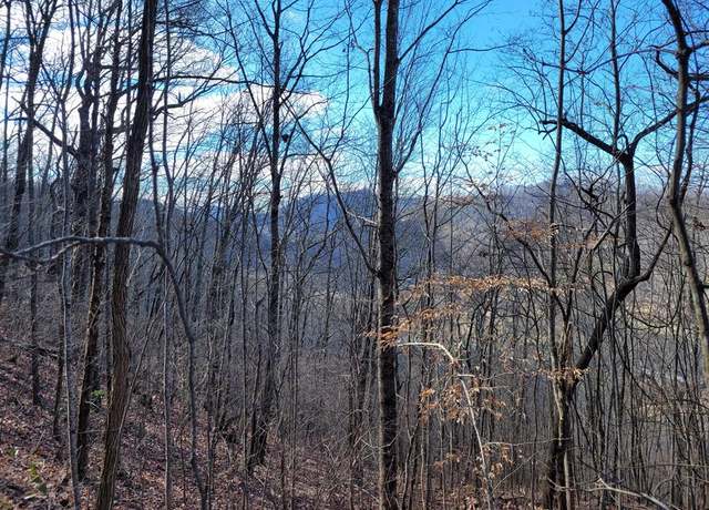 Property at 69 & 72 Colt Run, Hayesville, NC 28904