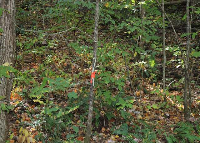 Property at Lots 8,9 Shadow Woods Trl, Hayesville, NC 28904