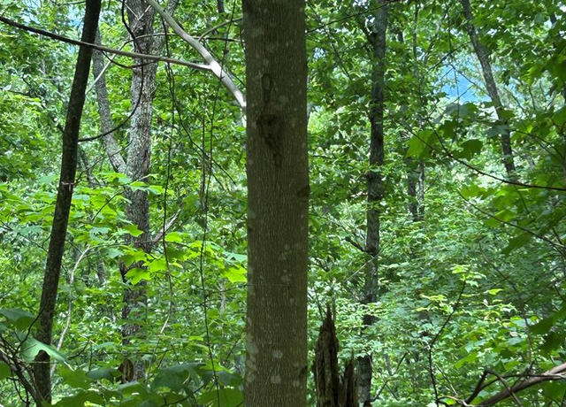 Property at 0 Ten Pointe Trl, Murphy, NC 28906