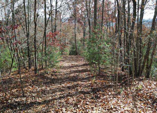 Property at TBD Robinson Ln, Hayesville, NC 28904