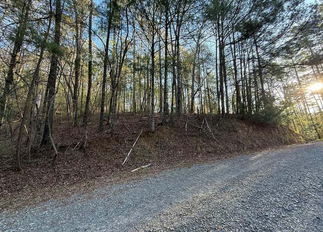 Property at L3675R Fern Dr, Ellijay, GA 30540