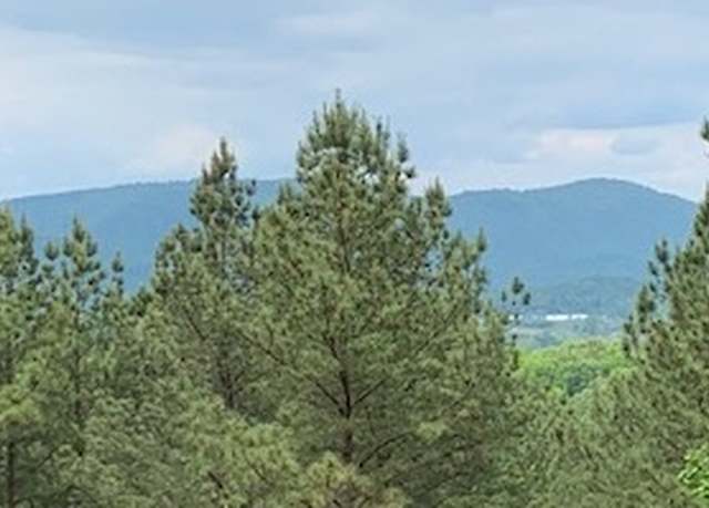 Property at LT 21 Loftis Mountain Rd, Blairsville, GA 30512
