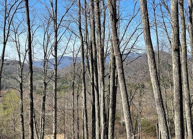 Property at Undisclosed address, Hayesville, NC 28904