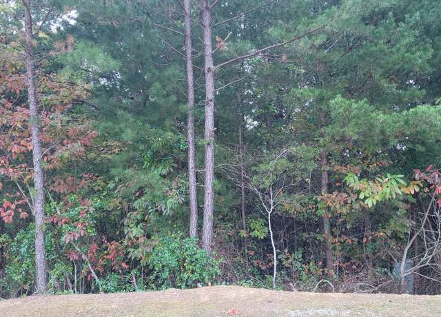 Property at 29 Aspen Ave, Ellijay, GA 30540