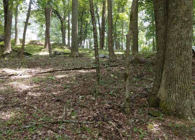Property at M213 Walnut Rdg, Ellijay, GA 30536