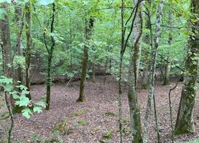 Property at LOT 3093 Monocle Dr, Ellijay, GA 30540