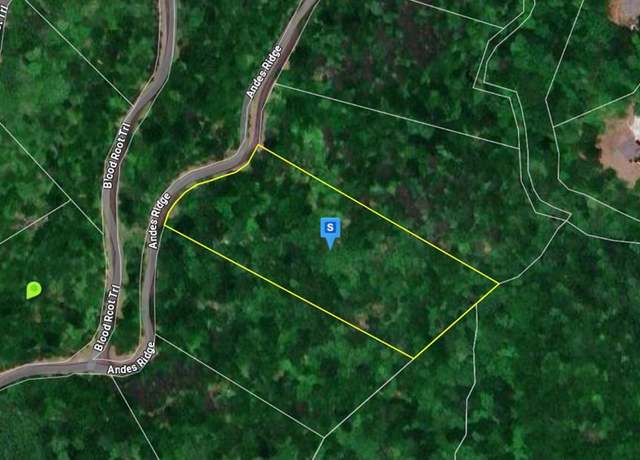 Property at 0 Andes Rdg, Ellijay, GA 30536