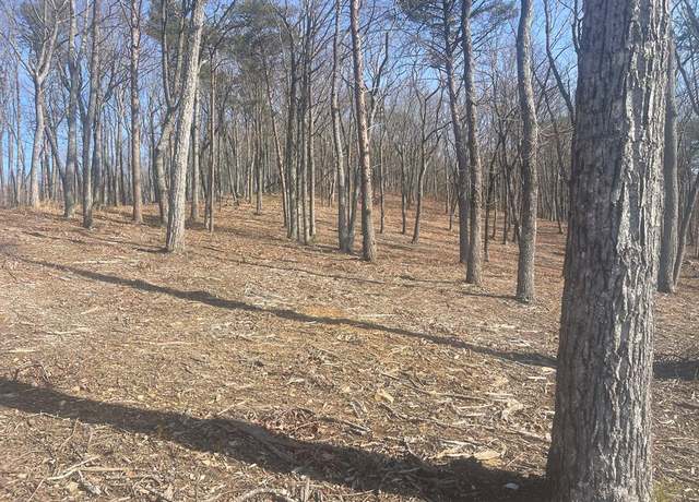 Property at Lot 17 High Summit Dr, Talking Rock, GA 30175