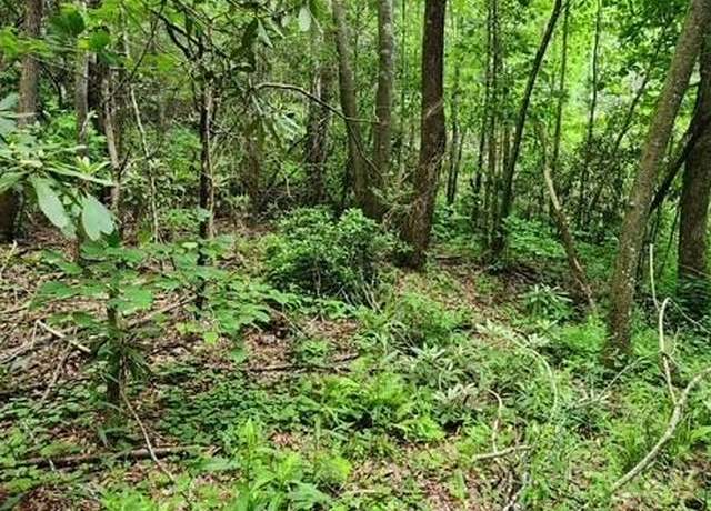 Property at 167 Calvender Rd, Turtletown, TN 37391