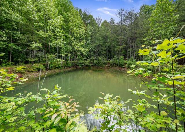Property at 13.67Acs Piney Acres Rd, Blue Ridge, GA 30513