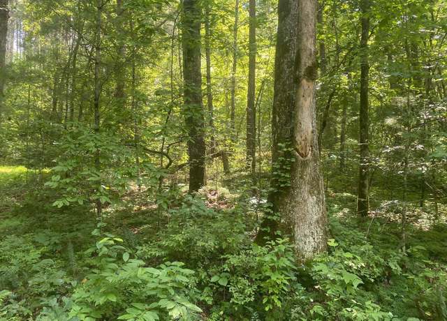 Property at 0 Murphy Hwy, Mineral Bluff, GA 30559