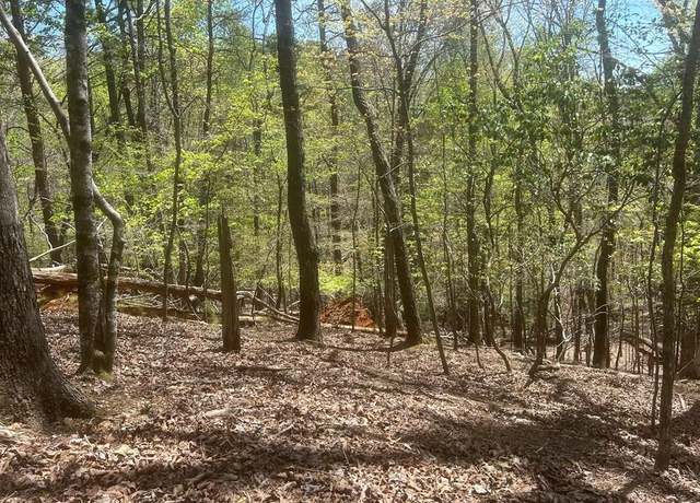 Property at LT1944 Palmetto Dr, Ellijay, GA 30540