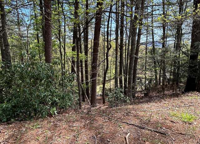 Property at LT699 Choctaw Dr, Ellijay, GA 30540