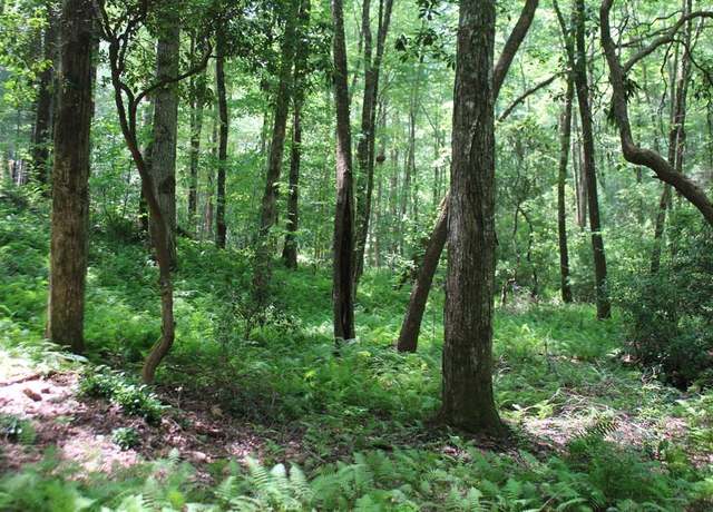 Property at Lot 25 N Shelton Springs Dr, Hayesville, NC 28904