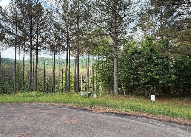 Property at Lot 9 Eastview Trl, Ellijay, GA 30536