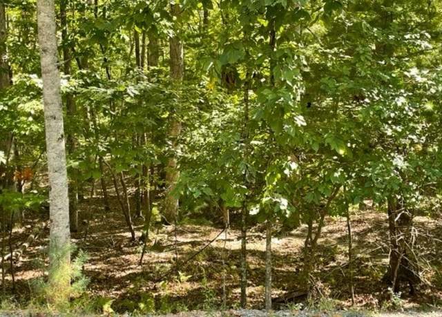 Property at 8 AC Payne Way, Blairsville, GA 30512