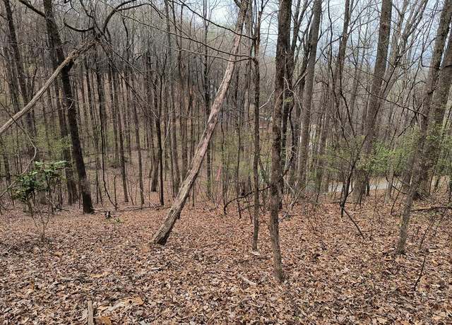 Property at M99 Sleepy Hollow Rd, Ellijay, GA 30536