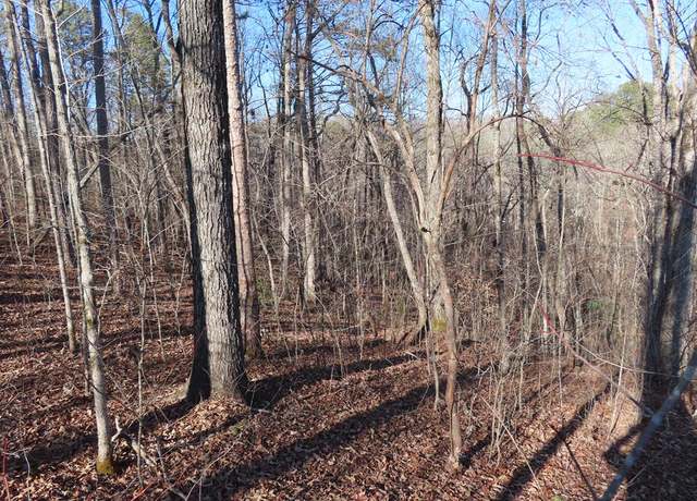 Property at LT1906 Finale St, Talking Rock, GA 30175