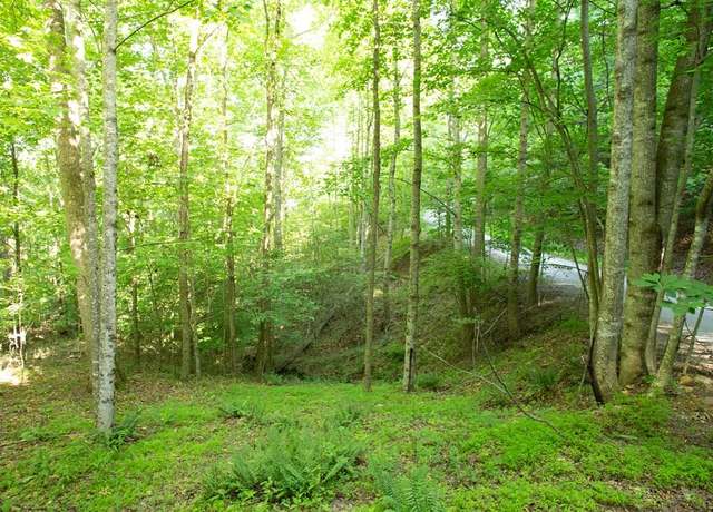 Property at Lot 175 Aj's Holler, Blairsville, GA 30512
